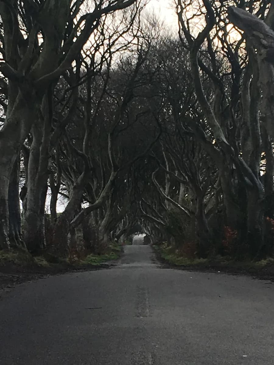 Game of Thrones kapak görseli